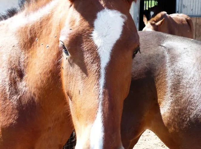 Apartamento Vent_du_nord *